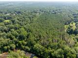 121 Acres Old Highway 49 - Photo 19