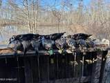  Mississippi 12 - Photo 9