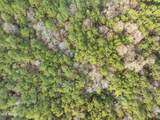 0 Elks Lake Road - Photo 8