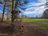 753 Old Highway 84 - Photo 13