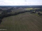  U.S. Highway 51 - Photo 42