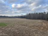 U.S. Highway 51 - Photo 9