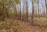  Mount Pilgrim Road - Photo 10