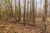  Mount Pilgrim Road - Photo 11