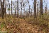  Mount Pilgrim Road - Photo 12