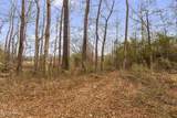  Mount Pilgrim Road - Photo 13