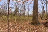  Mount Pilgrim Road - Photo 14