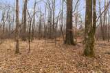  Mount Pilgrim Road - Photo 15