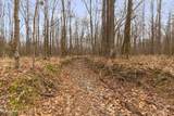  Mount Pilgrim Road - Photo 19