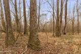  Mount Pilgrim Road - Photo 21