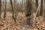  Mount Pilgrim Road - Photo 35