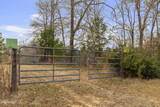  Mount Pilgrim Road - Photo 4