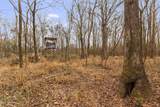  Mount Pilgrim Road - Photo 40