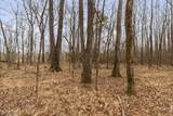  Mount Pilgrim Road - Photo 42