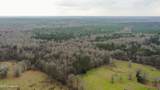  Mount Pilgrim Road - Photo 52