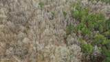  Mount Pilgrim Road - Photo 54