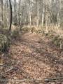  Mount Pilgrim Road - Photo 61