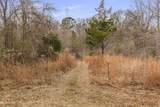  Mount Pilgrim Road - Photo 8