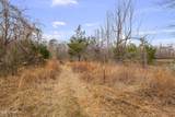  Mount Pilgrim Road - Photo 9