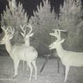 448 Attala County Road 4005 Road - Photo 1