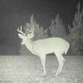 448 Attala County Road 4005 Road - Photo 20
