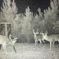 448 Attala County Road 4005 Road - Photo 23