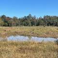 448 Attala County Road 4005 Road - Photo 29