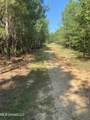 448 Attala County Road 4005 Road - Photo 4