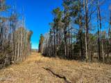  Highway 505 - Photo 16