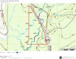  Highway 505 - Photo 44