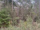  Azalea Lane - Photo 3