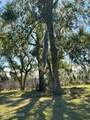 11219 Jordan River Drive - Photo 1