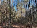 1059 Candy Lane - Photo 7