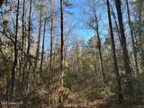 1059 Candy Lane - Photo 8