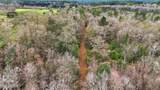  Saracennia Road - Photo 13