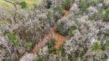  Saracennia Road - Photo 14