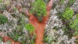  Saracennia Road - Photo 15