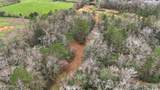  Saracennia Road - Photo 16