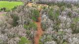  Saracennia Road - Photo 17