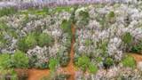  Saracennia Road - Photo 18