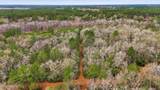  Saracennia Road - Photo 19