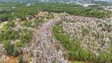  Saracennia Road - Photo 21