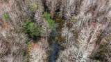  Saracennia Road - Photo 22