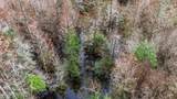  Saracennia Road - Photo 24