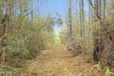  Saracennia Road - Photo 28