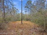  Saracennia Road - Photo 29