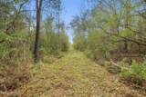  Saracennia Road - Photo 30