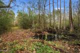  Saracennia Road - Photo 34