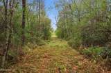  Saracennia Road - Photo 36