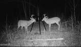  County Road 1115 - Photo 5